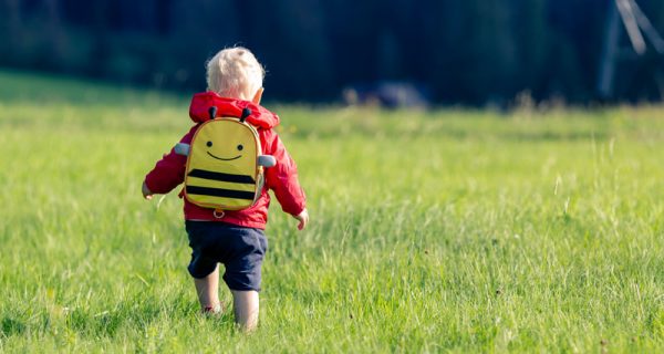 Baby boy hiking with backpack on green meadow. Young child on vacations hike. Inspirational travel and tourism concept.